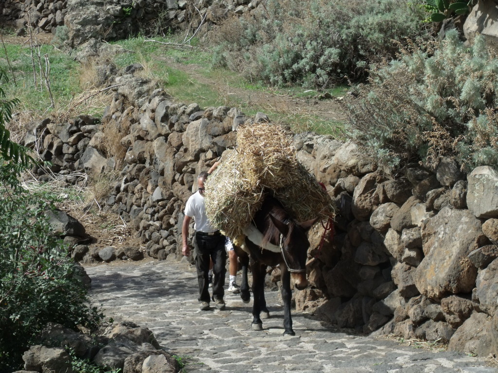 Uno scorcio delle Isole Eolie