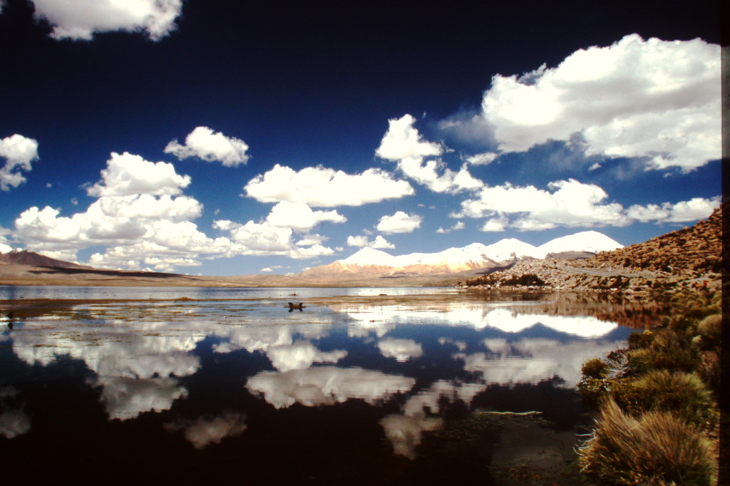 Lago Chungarà Chile - foto di Milena