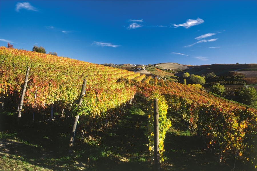 Primavera del Gusto nelle Langhe