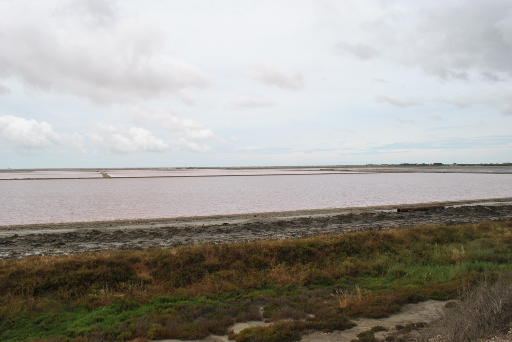 Mai viste le saline?