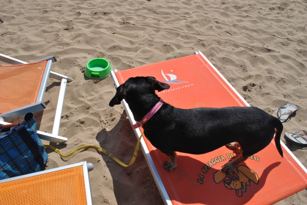 Maya sul suo lettino da spiaggia