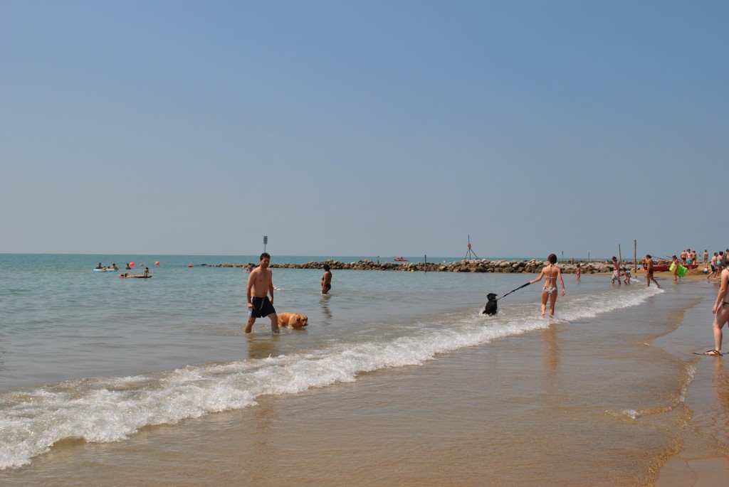 Cani in Spiaggia a Bibione