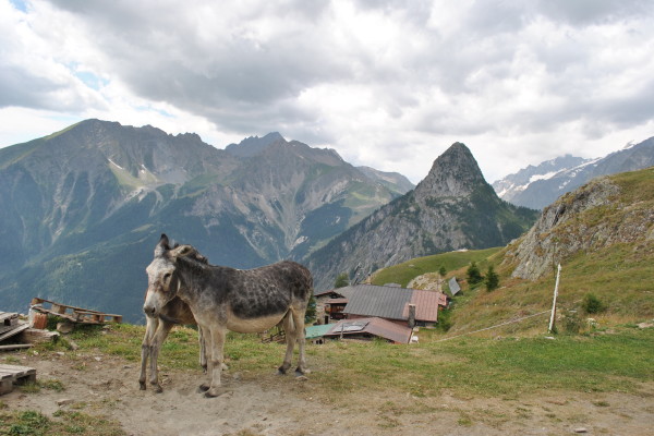 Vista sul Cervino