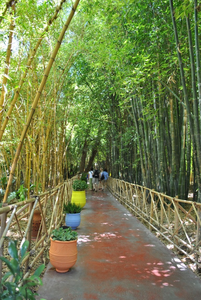 Un percorso fra il verde dei giardini di Majorelle