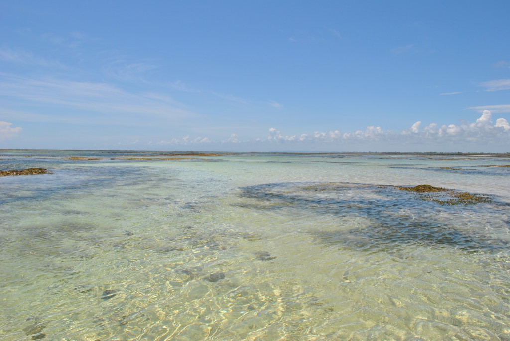 Sardegna due con alta marea