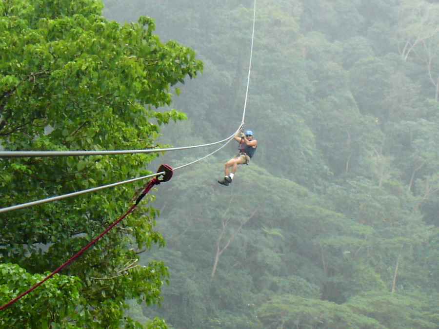 Canopy tour