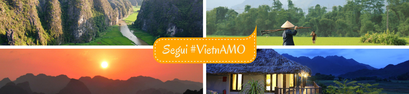 Segui gli aggiornamenti di #VietnAMO