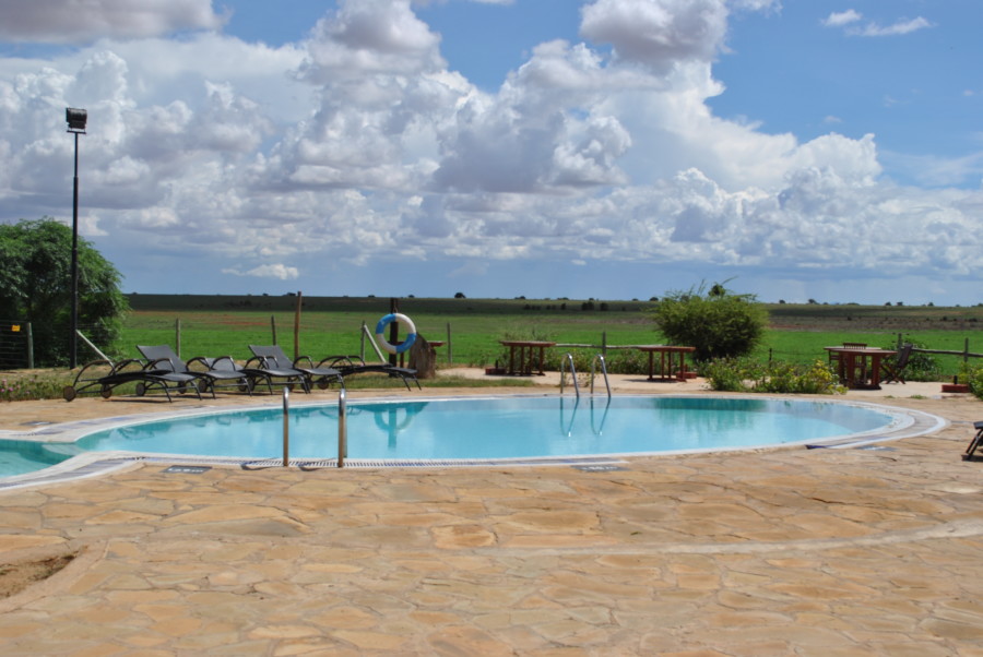 Una piscina nel cuore della savana africana