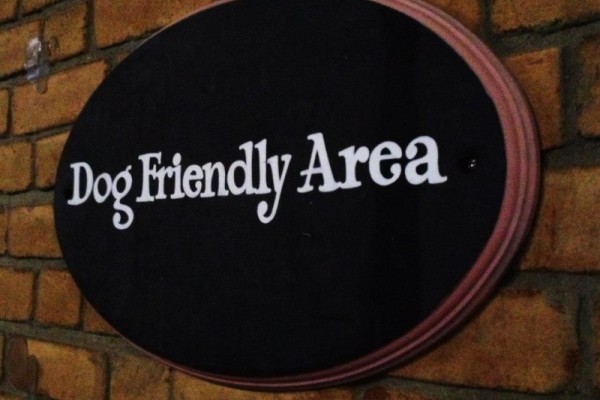 Cos'è una struttura dog friendly