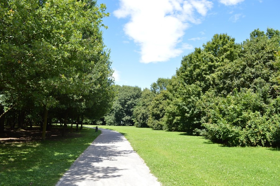 Bosco delle Quercie Seveso