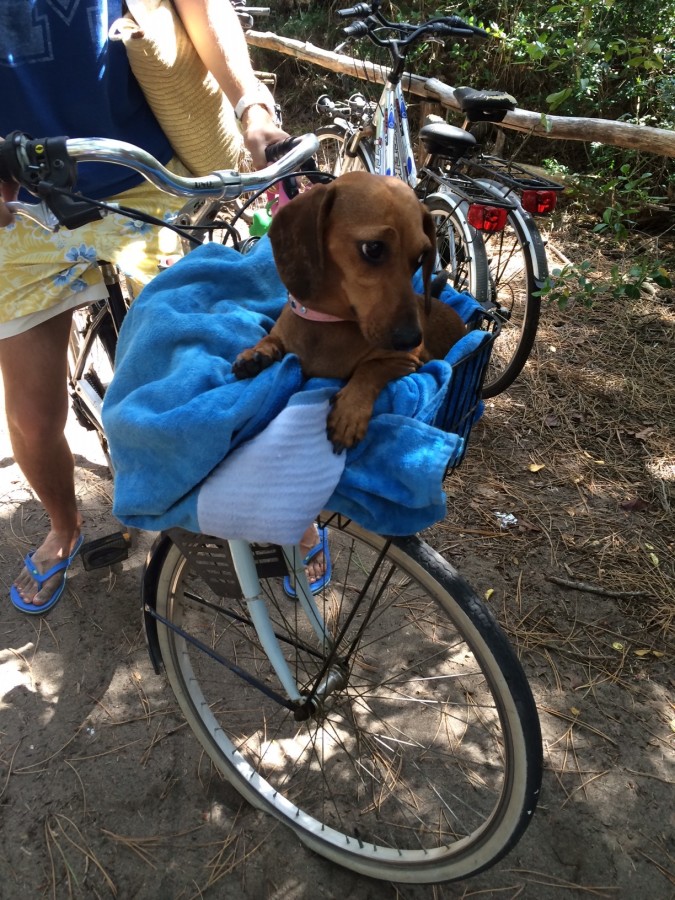 Tilde in bici