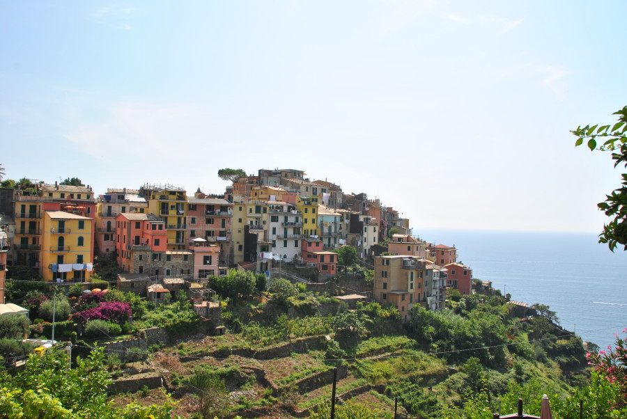 Alle Cinque Terre con il cane