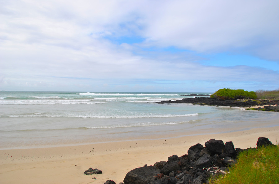 Vita da mare galapagos