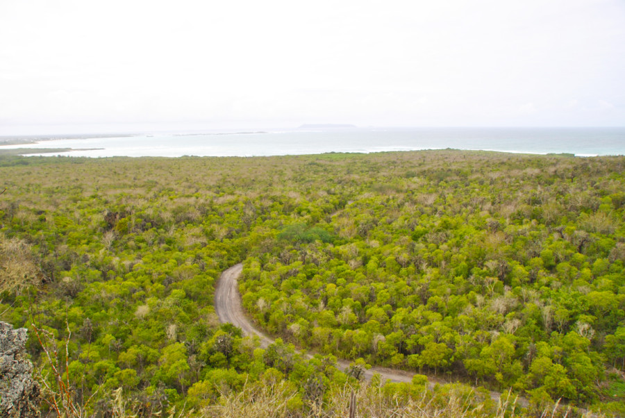 Natura alle Galapagos