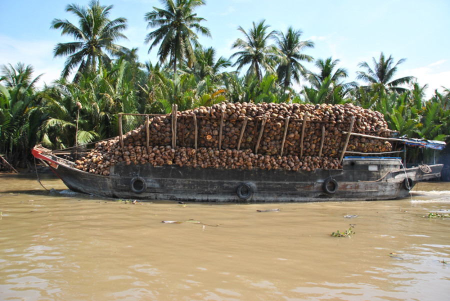 Trasporto di cocco sul delta del Mekong