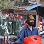 Venditrice di Fiori, Vietnam - Hanoi