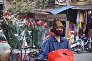 Venditrice di Fiori, Vietnam - Hanoi