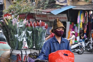 Venditrice di Fiori, Vietnam - Hanoi