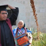 mexican degree