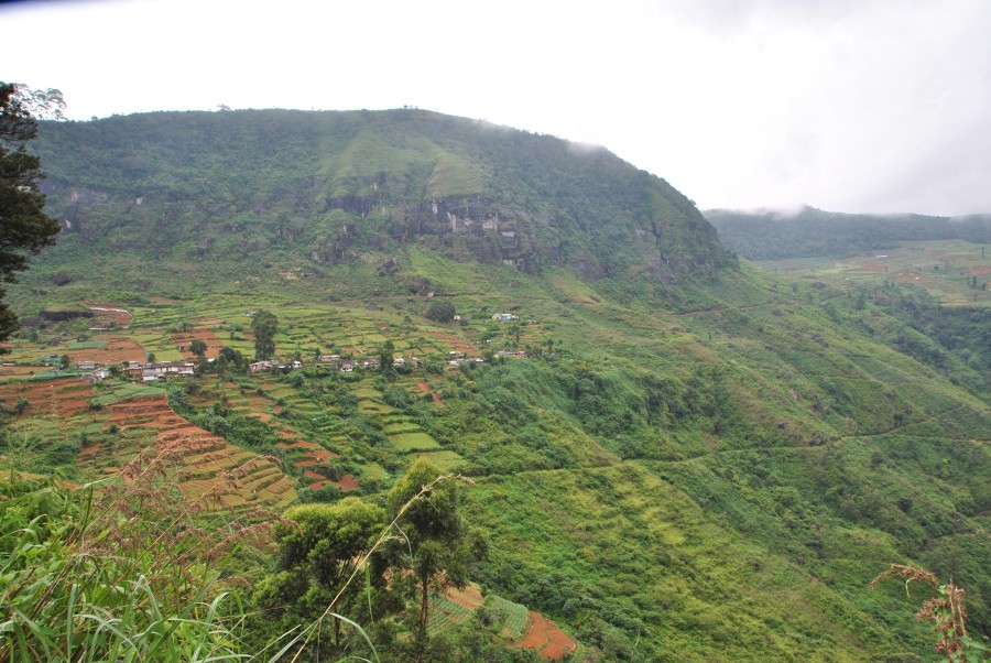 Arrivederci Sri lanka