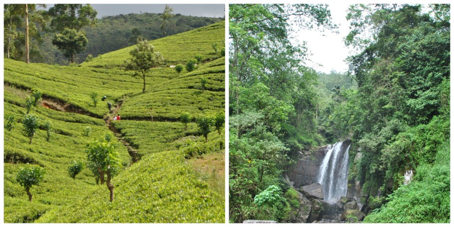 Nuwara Eliya