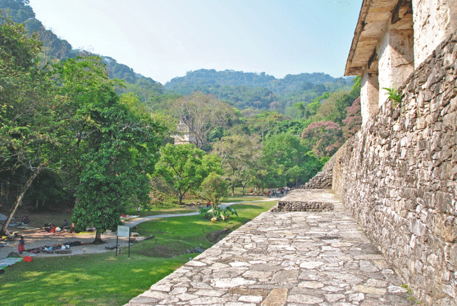 palenque-dall'alto