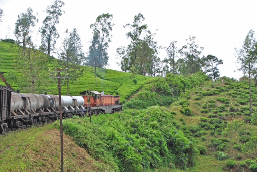 sri-lanka-treno-panoramico