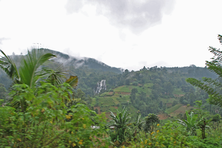 train-to-ella-sri-lanka-10