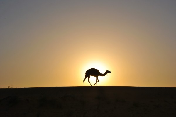 dormire deserto Oman