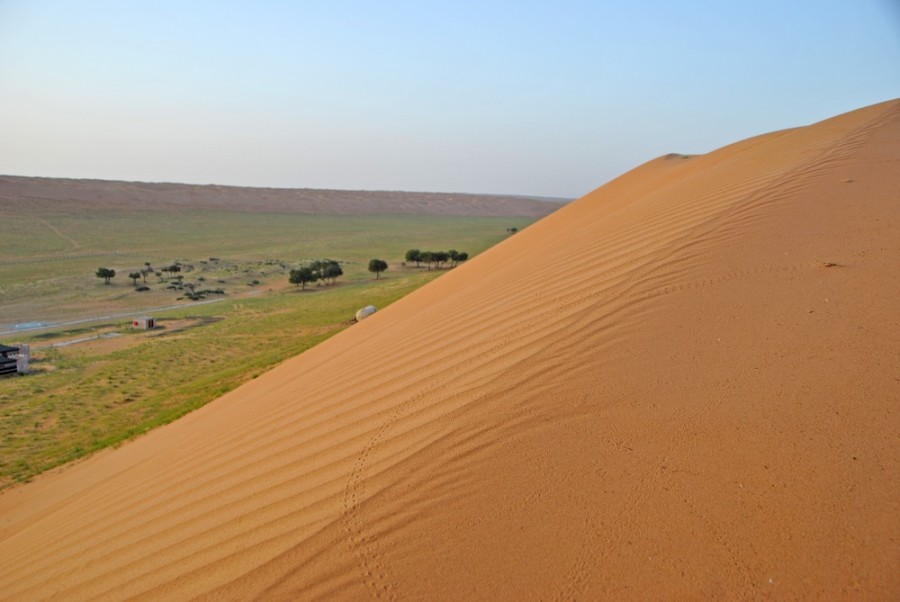 dune deserto oman