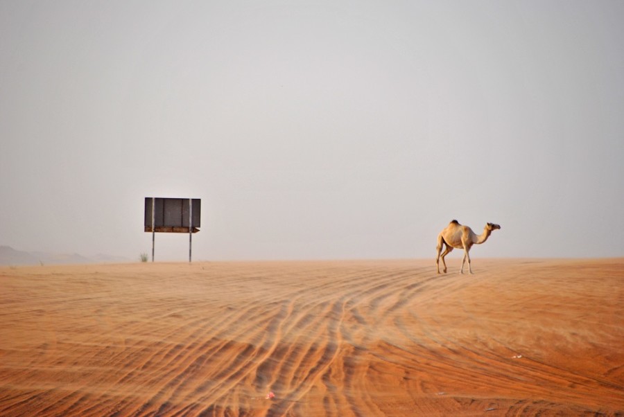 wahiba sands oman