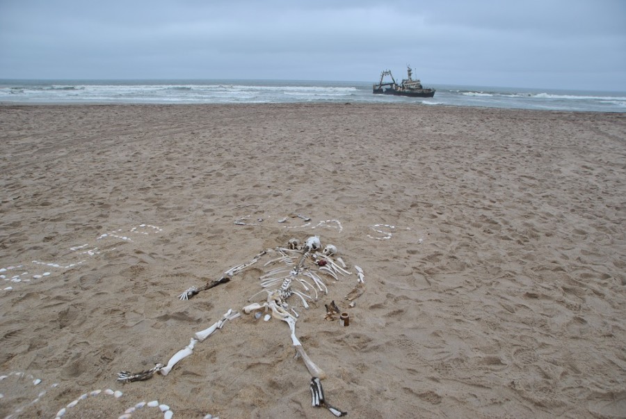 skeleton-coast-1