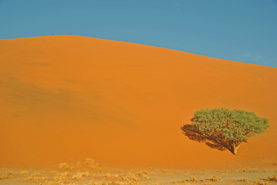duna-45-namibia-africa1000