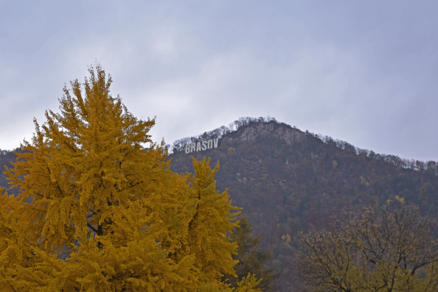 brasov