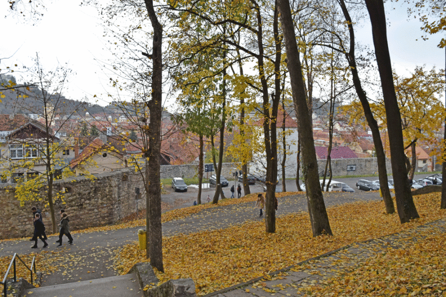 foliage-brasov-11000