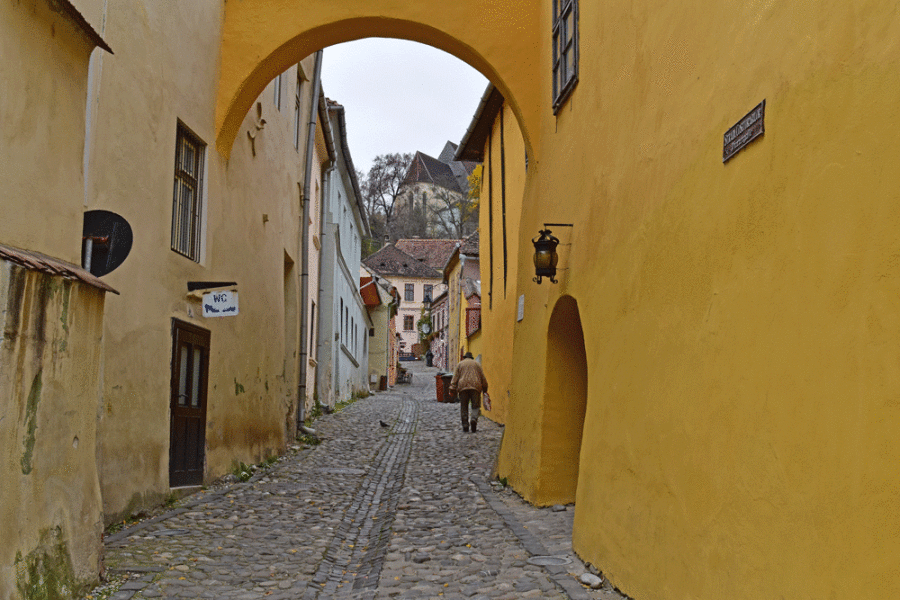 sighisoara-transilvania1000