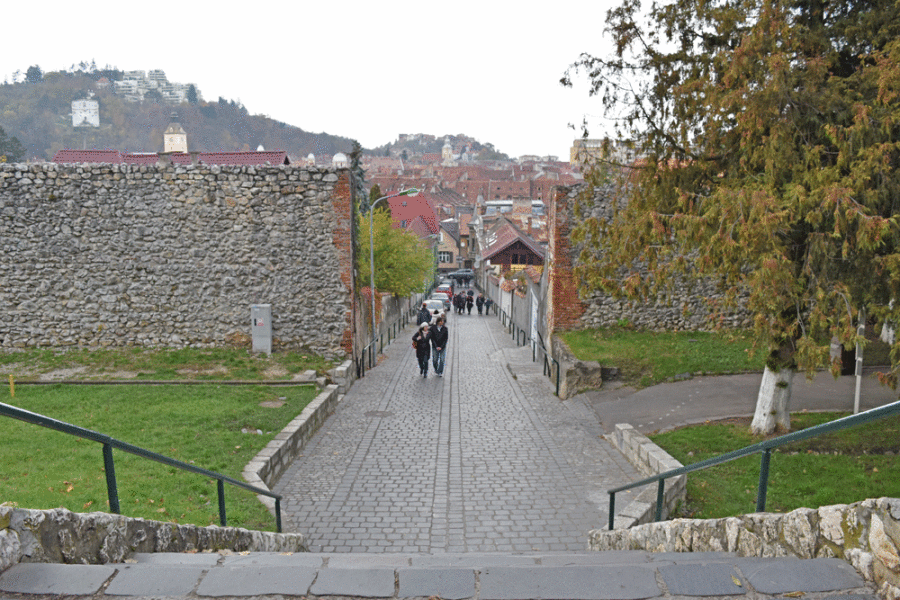 viale-brasov1000