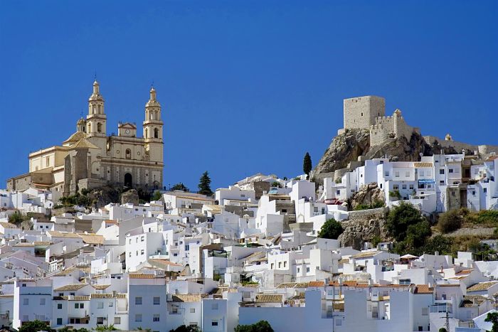 tour andalusia