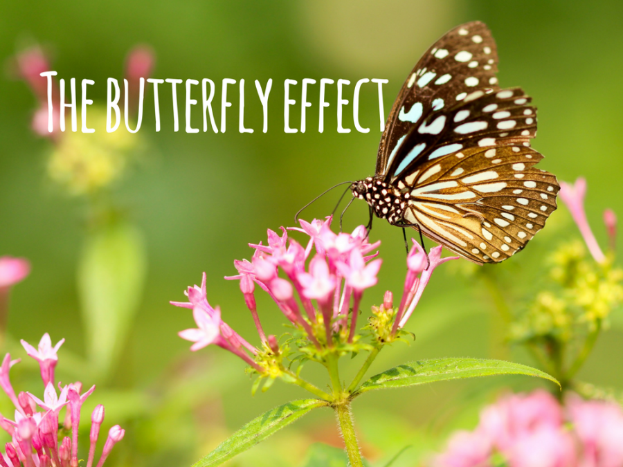 The butterfly effect