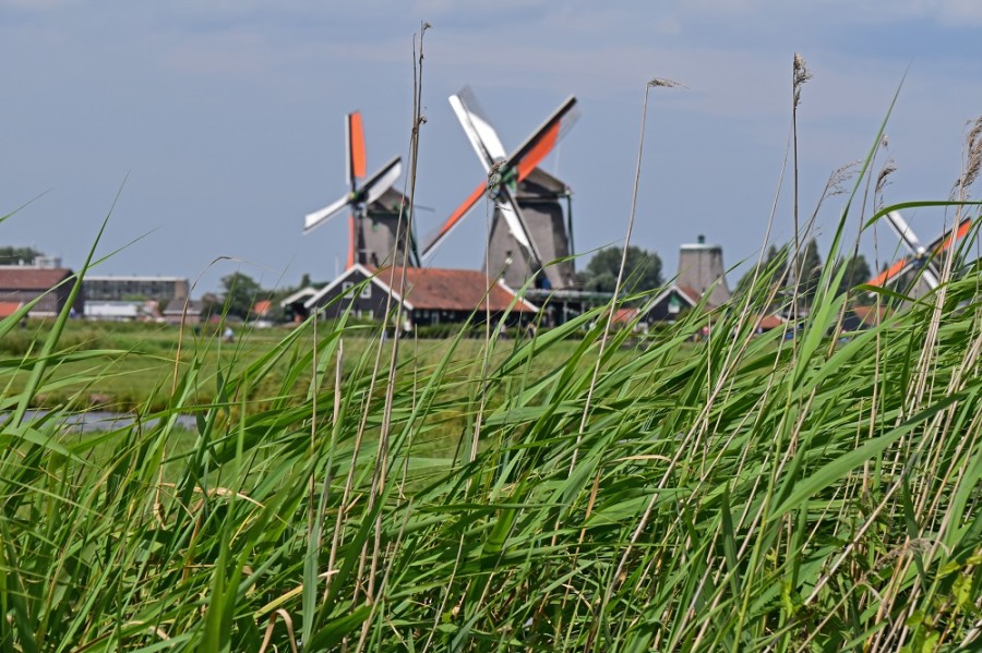 zaanse schans 1