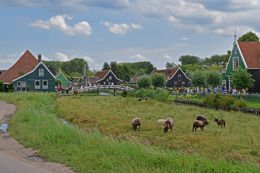 zaanse schans 4