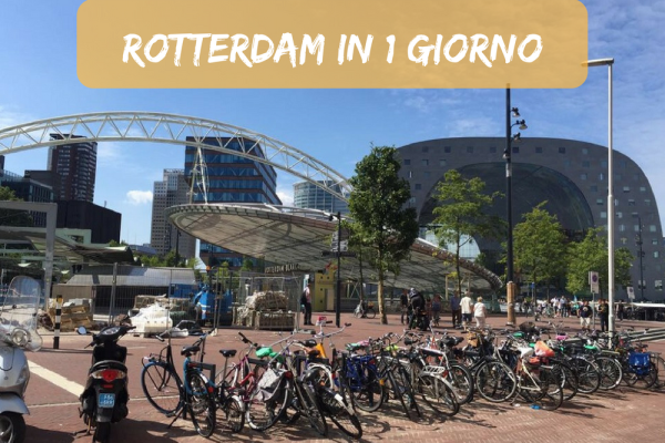 rotterdam in un giorno