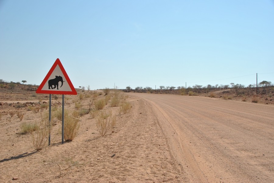 segnali etosha