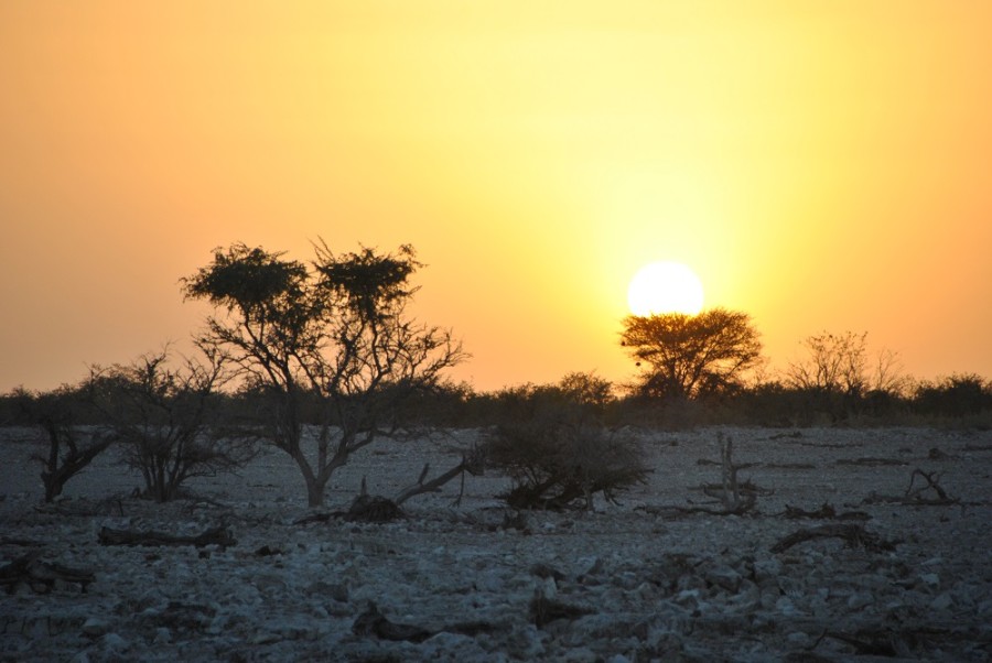 tramonto etosha 1000