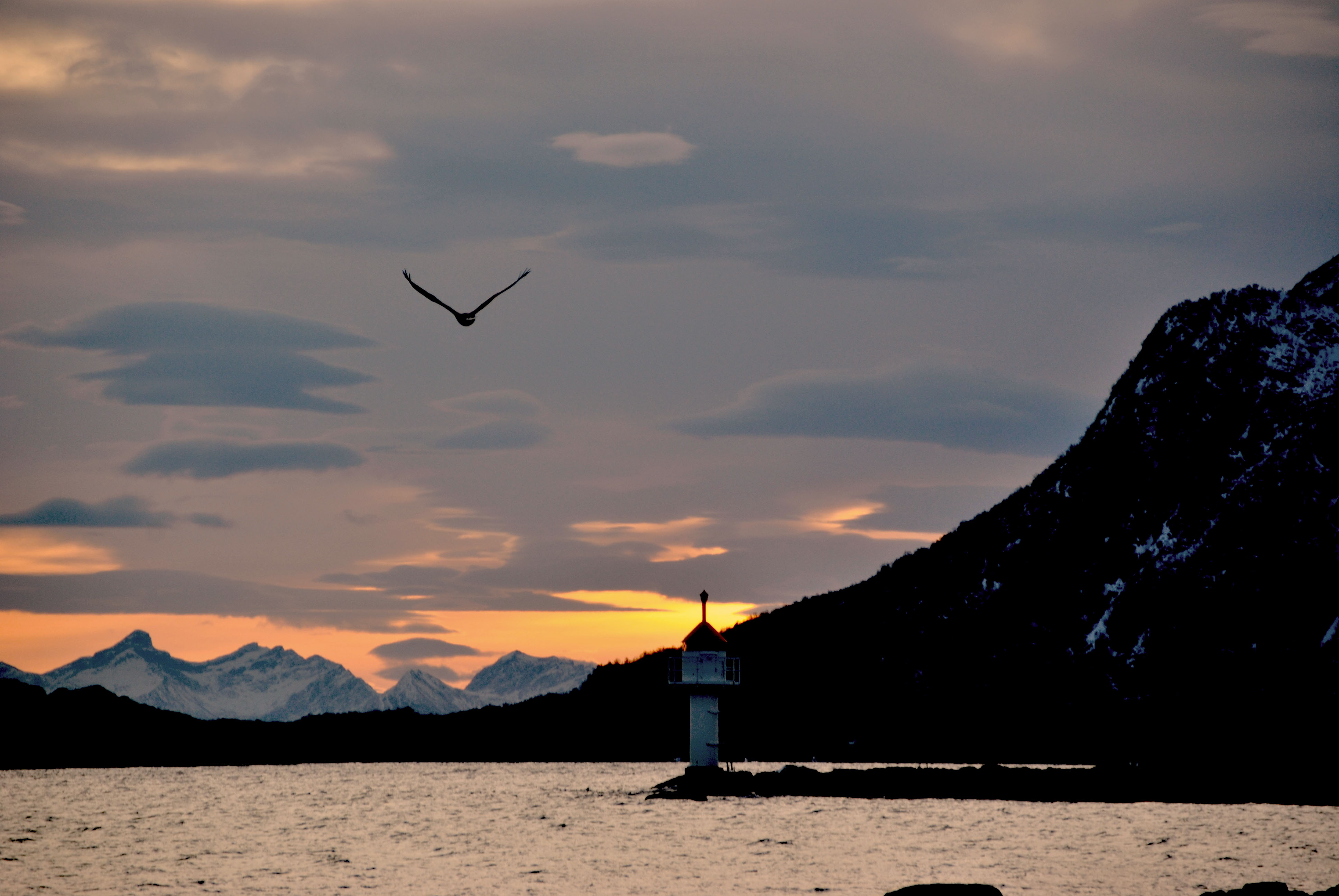 Faro Andenes