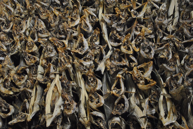 stoccafissi