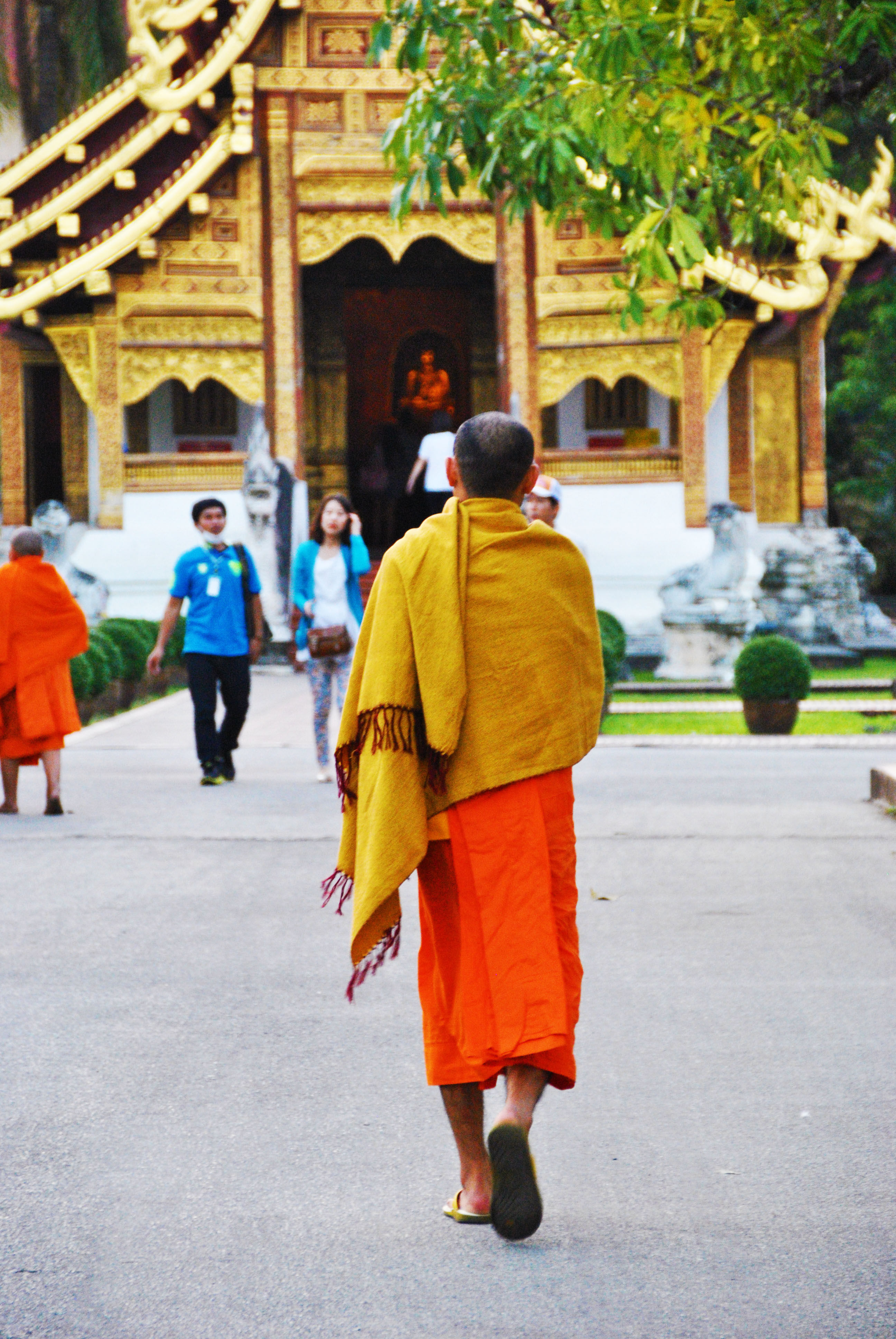 bonzo thailandia