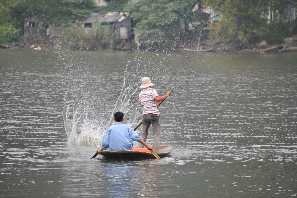 Pesca