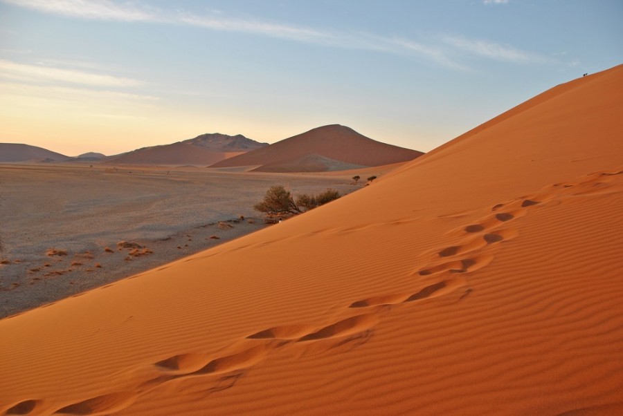 desert of namib1000