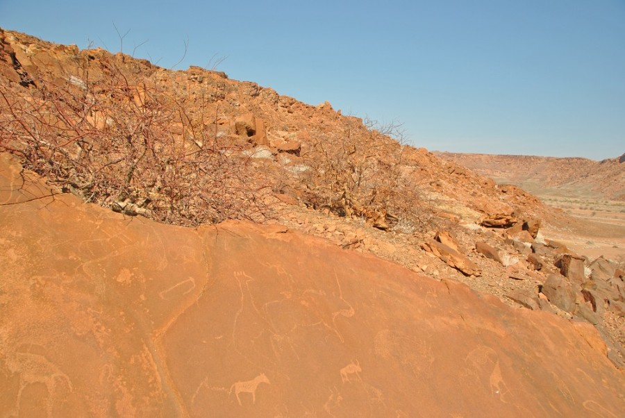 incisioni rupestri namibia1000